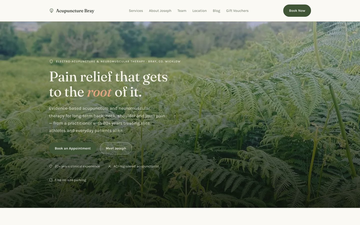 Acupuncture Bray website redesigned by Jomoo